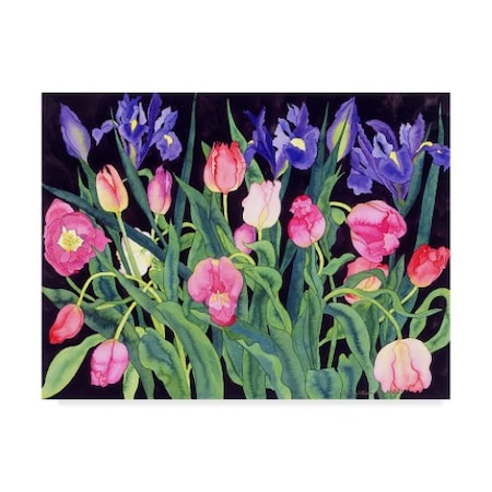 Carissa Luminess 'Tulips And Irises' Canvas Art,24x32